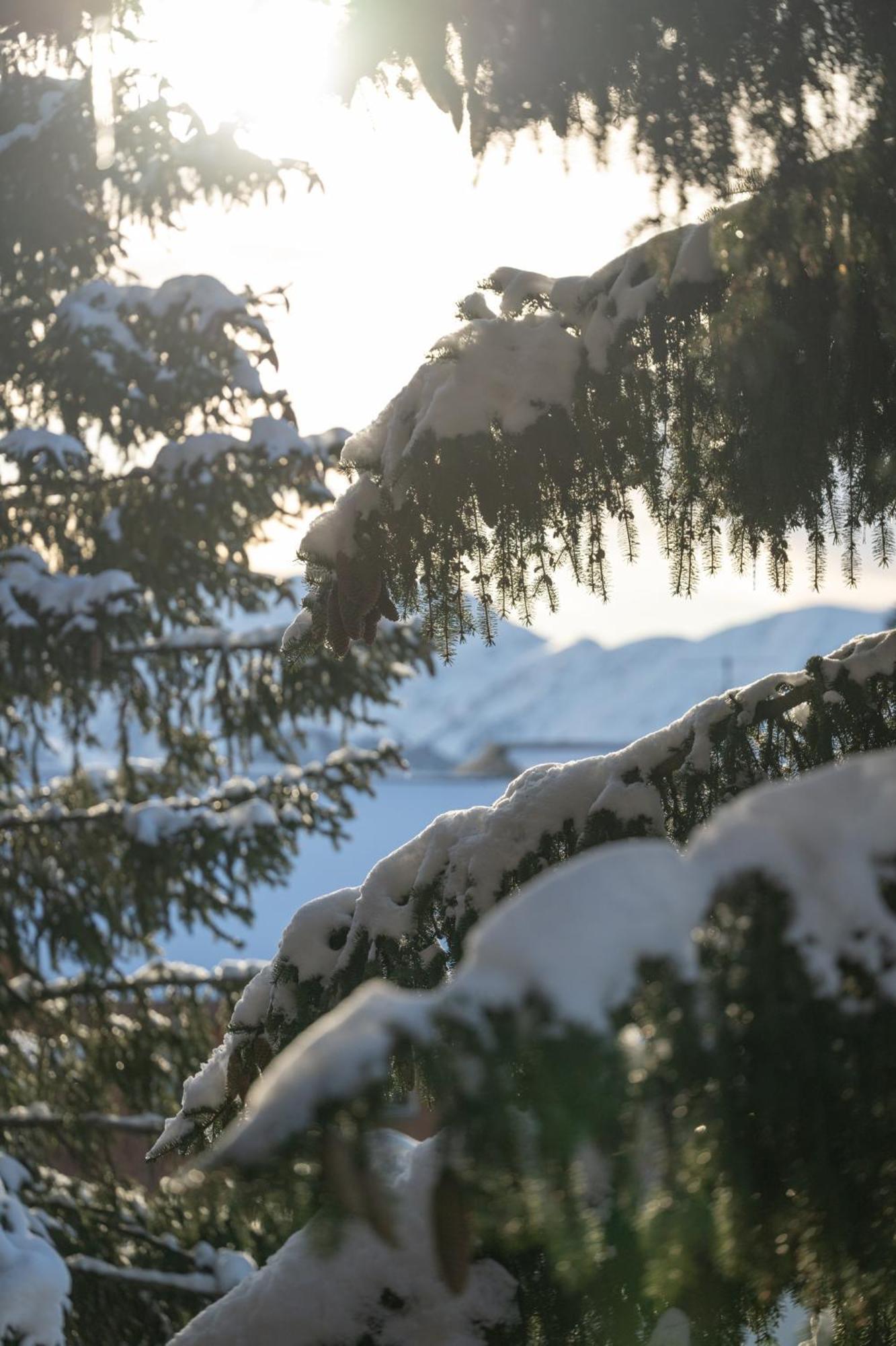 Chalet Alpe D'Huez 1850-Sea And Mountain Pleasure Avec 2 Appartements- 1 Appartement 3 Chambres 8 Couchages - 3 Salles D'Eau Et 1 Appartement 5 Chambres 12 Couchages 5 Salles D'Eau - Jacuzzi Et Sauna -Pieds Des Pistes Et Centre מראה חיצוני תמונה